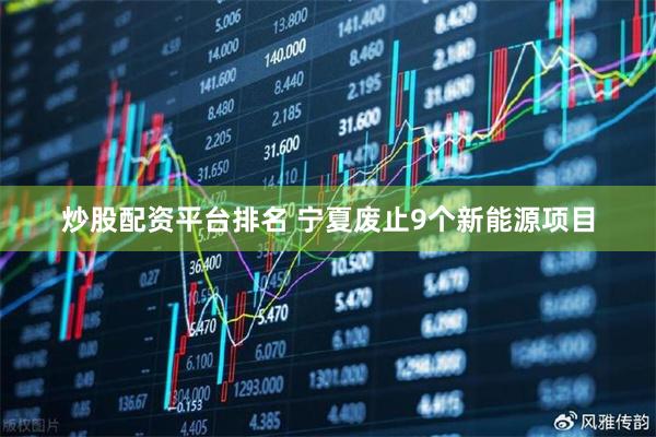 炒股配资平台排名 宁夏废止9个新能源项目